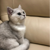 小鬼改名求光暗