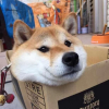 大碌沟