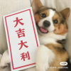 我爱n0宝