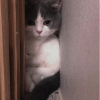 ꧁ĐậuĐậu꧂