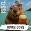 HowItGoes