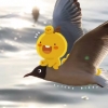 闪✪闪✪闪
