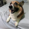 幸运