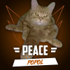 popol98