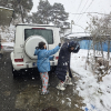 태검고릴라