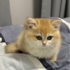 路人～
