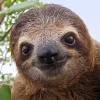 BobitoLj