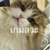 โรบิงซู