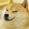 我獨自降級