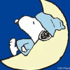 SleepySnoopy