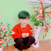 HaiNam31.05