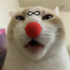 Furry~Lover