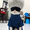 TaimuPoteto