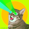 Power•of•Cat