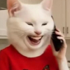 aisу