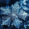 ❄Snowflake❄