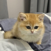 路人-