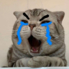 CùSơ