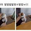 변경