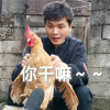 元婴牛马