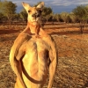 軟硬兼濕