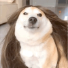 杰尼龟mage进化