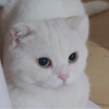 【蔚此天休】