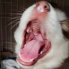 不嘻嘻嘻嘻