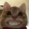 灌个包