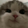L1ly_