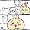 湿布ぅりこぴん