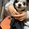 Nツン