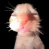 J0ssu