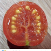 ඣඣඣඣ