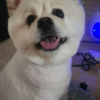 귀염만지