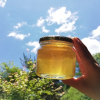 Apiary