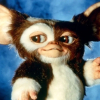 Gremlins||FR||
