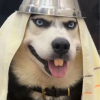 ❇AnhKhờ♥