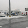请叫我雪梦游仙