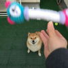 조커6000