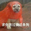 弓虽人戶斤难