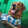 Lushookun