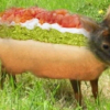 MoccaStar