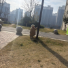 知知啊、