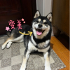 ༺知心小三༻