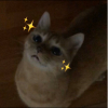 作伙去抽獎