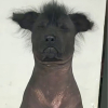 Tukuda