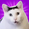 ƘⅈꞨȼⱨų℟