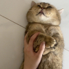 RénChưaCưng