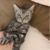 ひぃ助